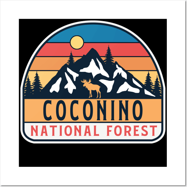 Coconino national forest Wall Art by Tonibhardwaj